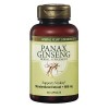 GNC Ginseng Panax 600mg (Vitalidade + Energia)