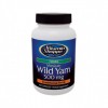 Yam Selvagem 500mg (Dioscorea Vilosa)