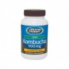 Kombucha 500mg (Sistema Imune) Vitamin Shoppe