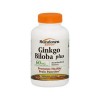 Sundown Ginkgo Biloba 60mg (Memória Saudável) 200