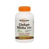 Sundown Ginkgo Biloba 60mg (Memória Saudável) 200